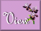View Guestbook