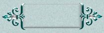Blank Button