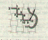 Back stitch illustration