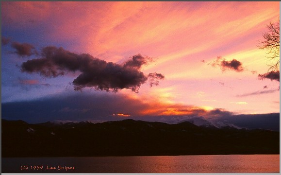 NATURALEZA