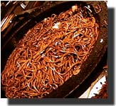 food2
