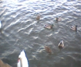 TN_Image16.JPG