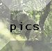 pics