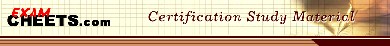 examcheets.com