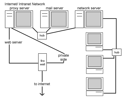 InterIntraNetwork