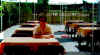 Aaron in the garden1.JPG (83515 Byte)