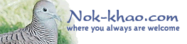 Ҵͷ
