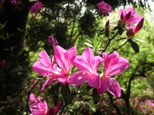 front.JPG (40208 bytes)