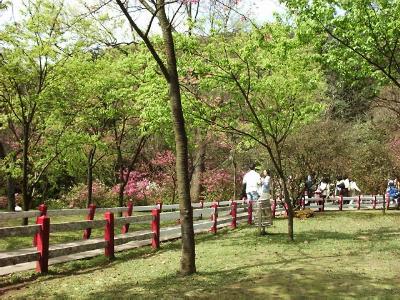 fwr10.JPG (45623 bytes)