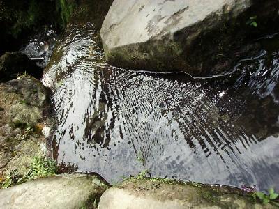 fwr11.JPG (37296 bytes)