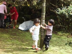 fwr16.JPG (20584 bytes)