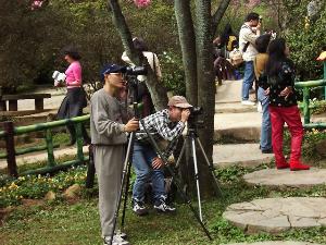 fwr17.JPG (23412 bytes)