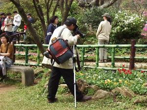 fwr18.JPG (27358 bytes)