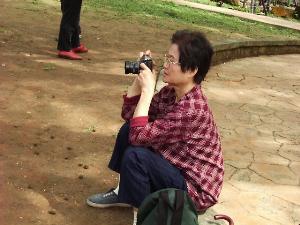 fwr19.JPG (16245 bytes)