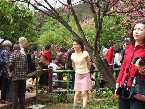 fwr20.JPG (24987 bytes)