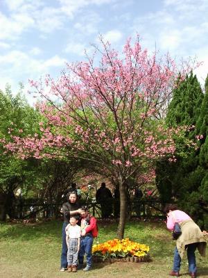 fwr21.JPG (35820 bytes)