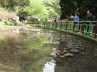 fwr3.JPG (34955 bytes)