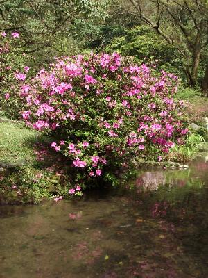 fwr4.JPG (42103 bytes)