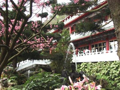 fwr6.JPG (43305 bytes)