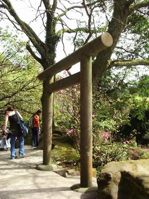 fwr9.JPG (42851 bytes)