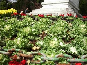 vegetable.JPG (26744 bytes)