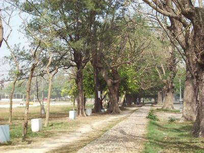 four-sea1.JPG (35486 bytes)