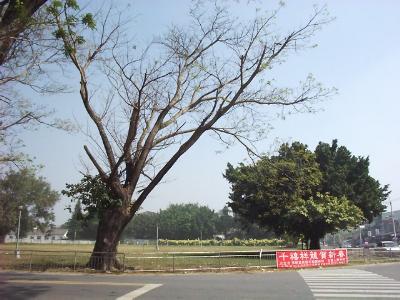 four-sea2.JPG (29518 bytes)