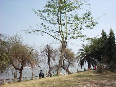 lake2.JPG (30266 bytes)