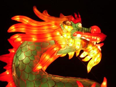 dragonhead.JPG (20146 bytes)