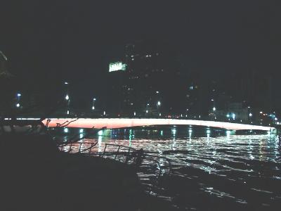 night-bridge.JPG (14104 bytes)