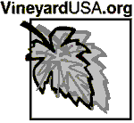 Vineyard USA