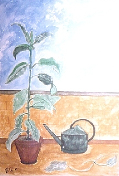 terrazzo.jpg (99308 bytes)