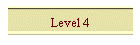 Level 4