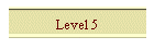 Level 5