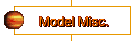 Model Misc.