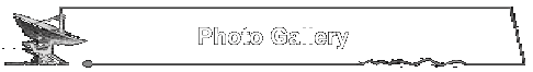 Photo Gallery