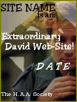 David Duchovny Website Award