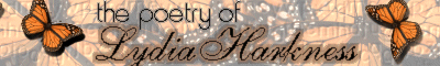Saying Goodbye to Expositions: The Poetry of Lydia Harkness