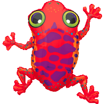 Tree Frog