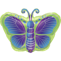 Kiwi Butterfly