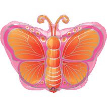Strawberry Butterfly