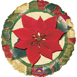Poinsetta - Holiday in Bloom