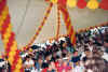 Catalogue Pic - Tent decor 3.jpg (69802 bytes)