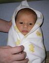 Click here to see the picture (Bundle.jpg)