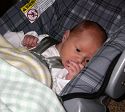 Click here to see the picture (Carseat.jpg)