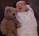 Click here to see the picture (Teddy.jpg)