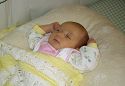 Click here to see the picture (NapTime.jpg)