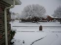 Click here to see the picture (Snow.jpg)