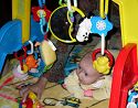 Click here to see the picture (tummy1.jpg)