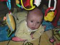 Click here to see the picture (tummy2.jpg)